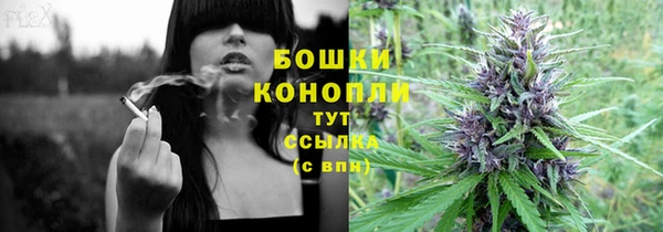 a pvp Краснослободск