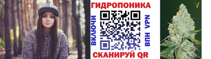 Купить  Короча  МАРИХУАНА гибрид 